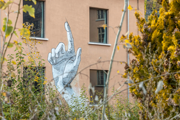 Basis 10 Fotograf Sorvillo